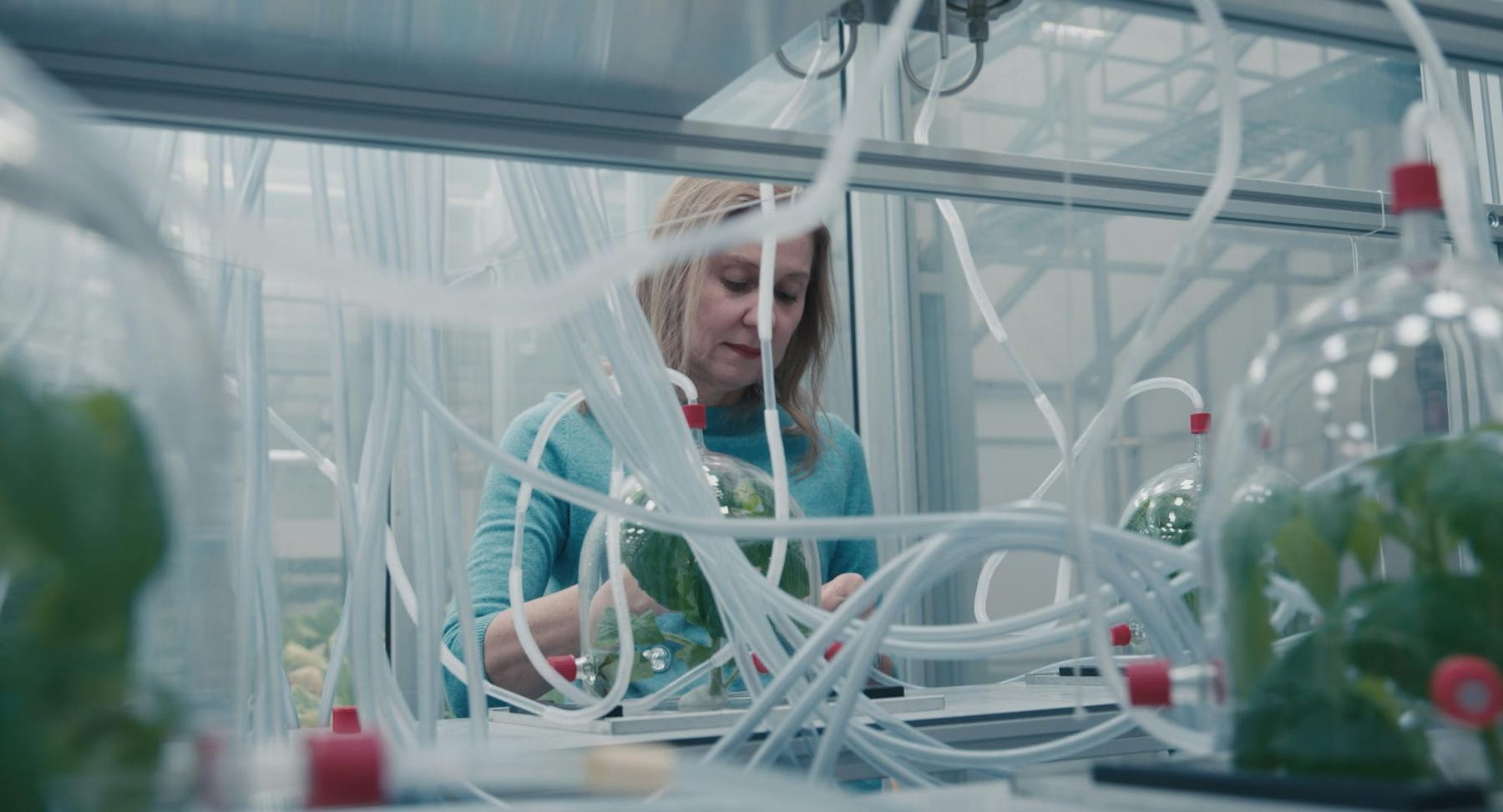 Die fröhliche Wissenschaft