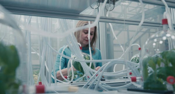 Die fröhliche Wissenschaft