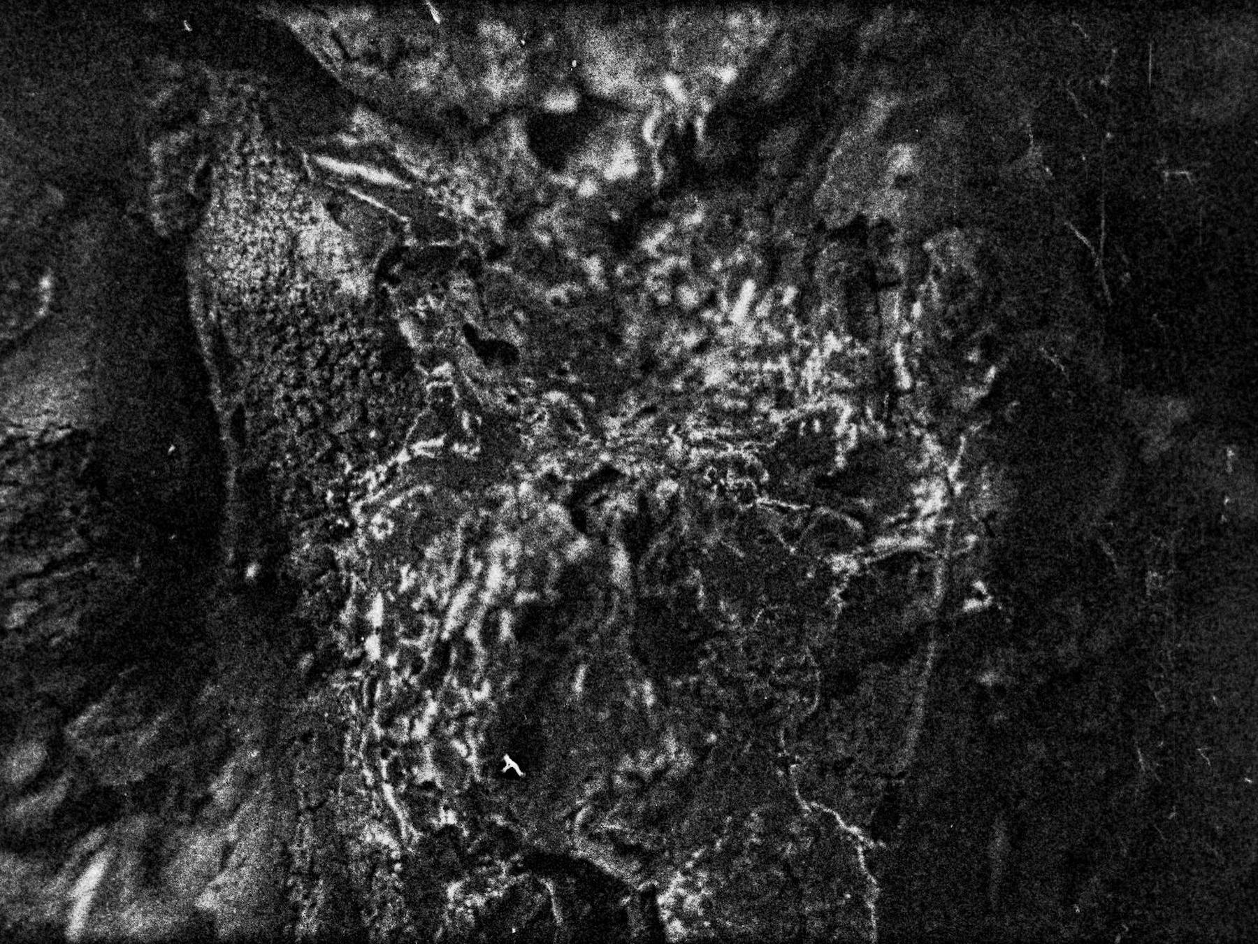 Kurzfilmblock zur Ausstellung «Mehr Licht – Video in der Kunst»