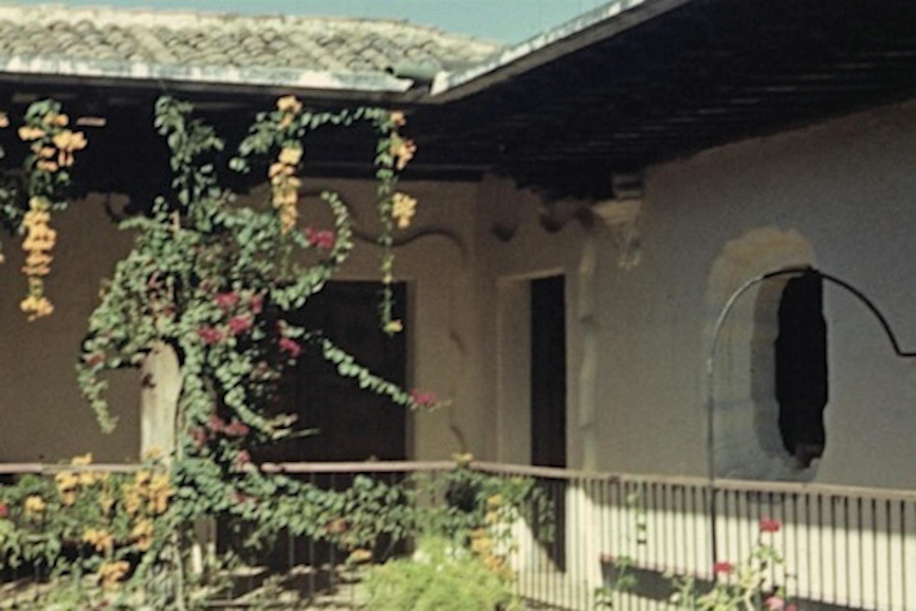 Bild 1 von Terra Femme