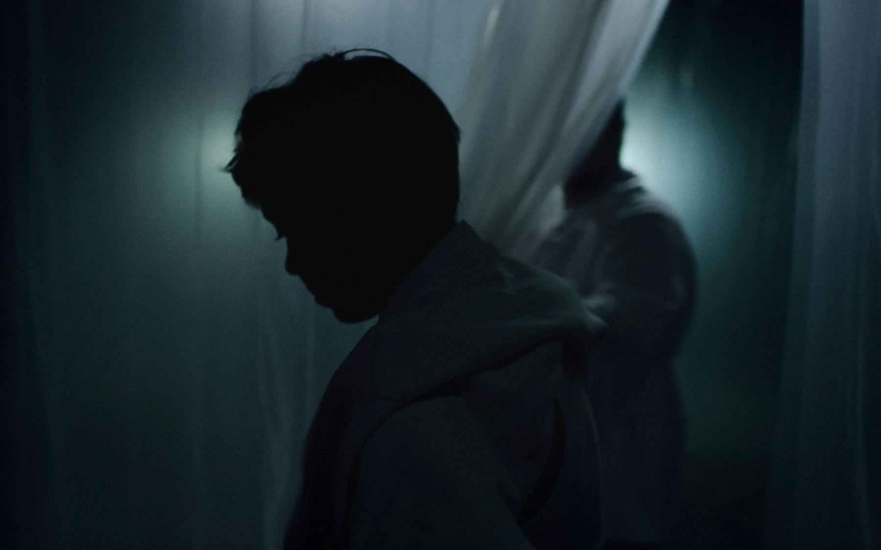 Image 3 de Lux carne