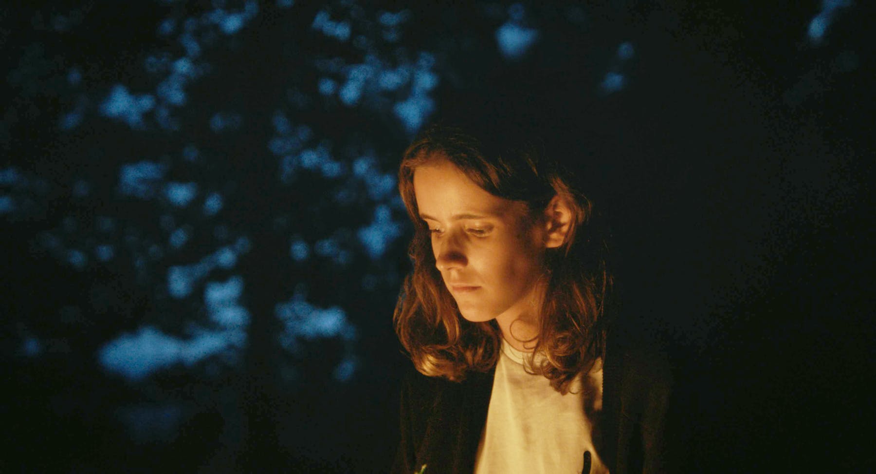 Image 3 de Transcending Harry