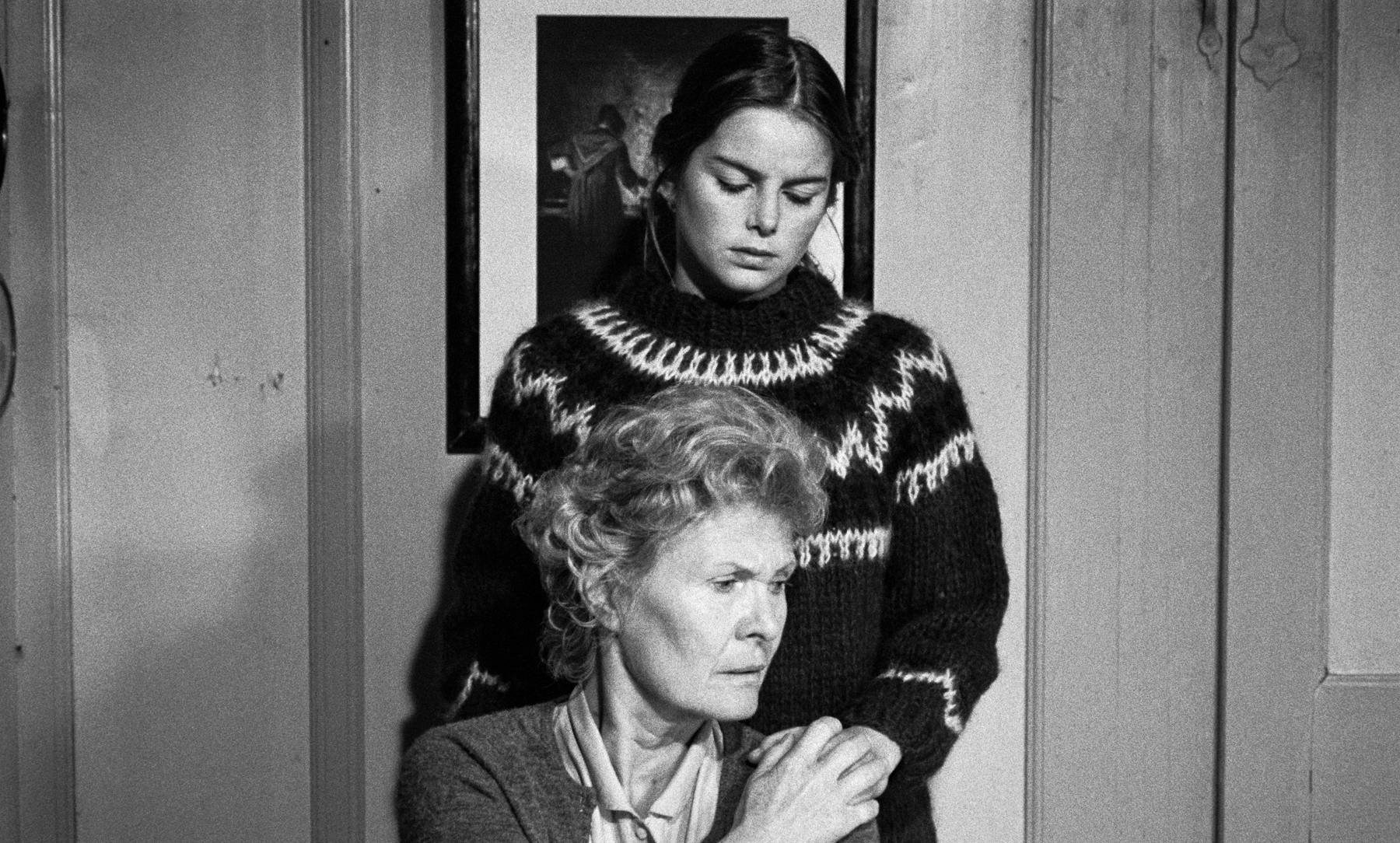 Image 3 de L’allégement