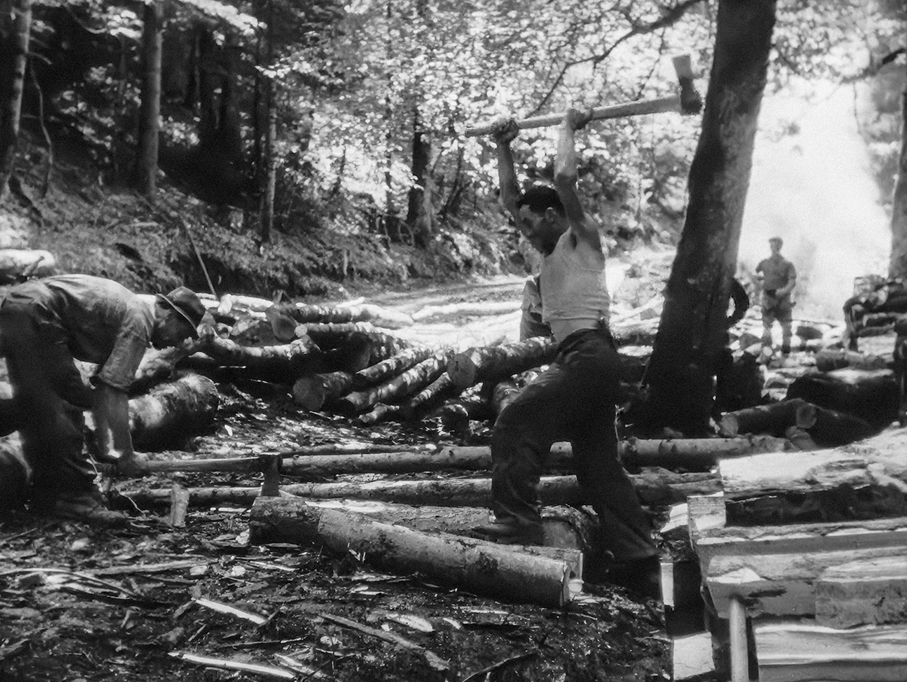 Bild 2 von Le châtelot