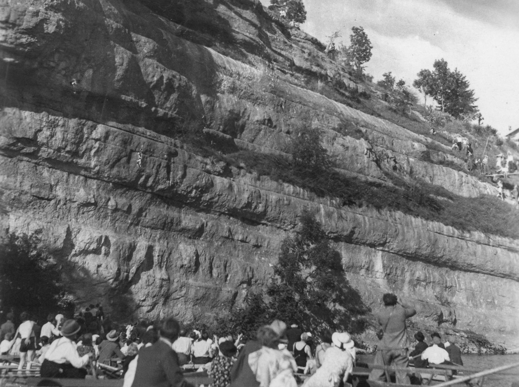 Bild 3 von Plongeons