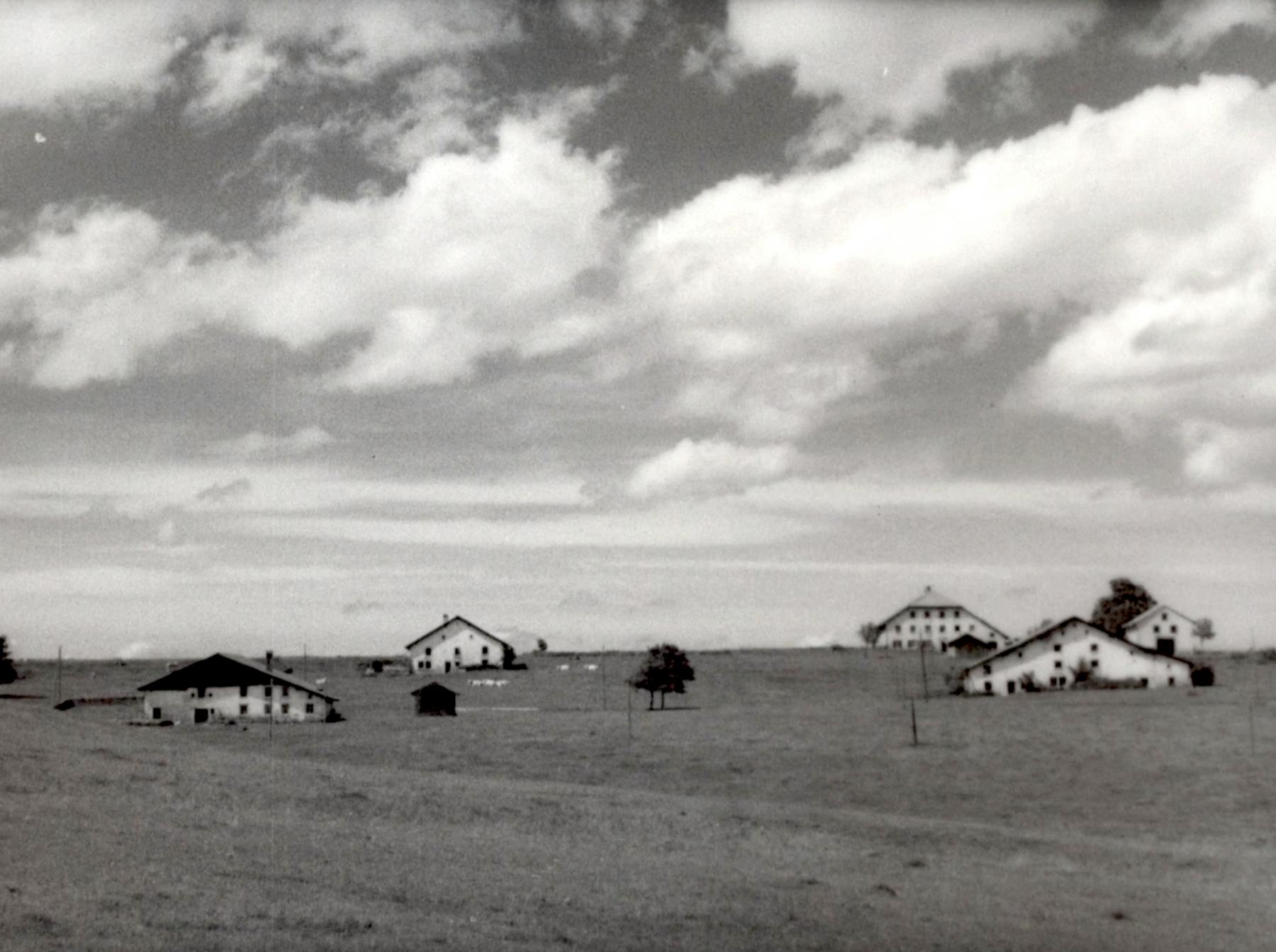 Image 1 de La foire aux crinières