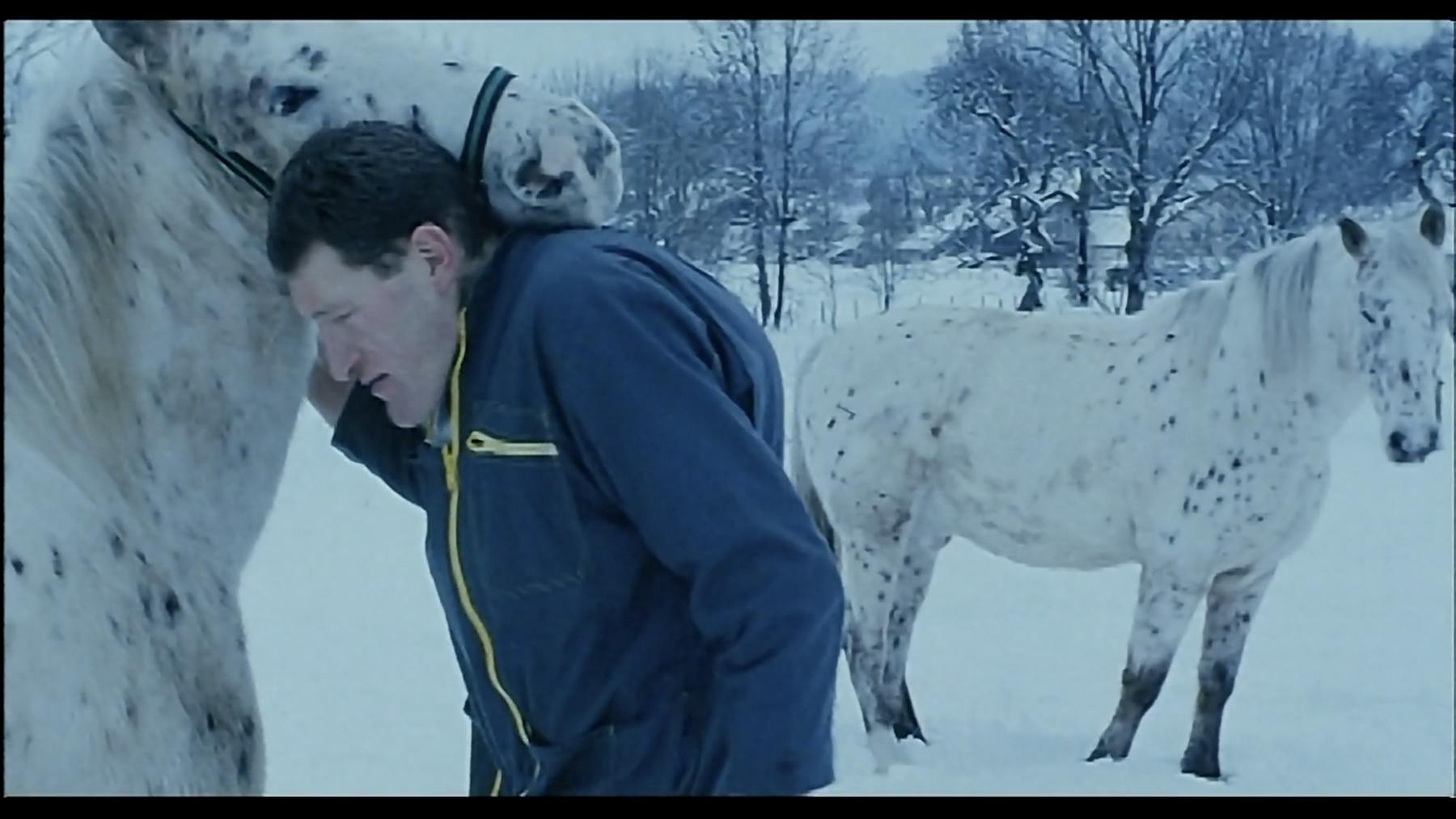 Bild 2 von Du soleil en hiver