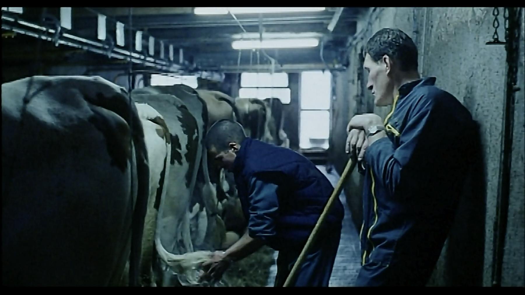 Bild 3 von Du soleil en hiver