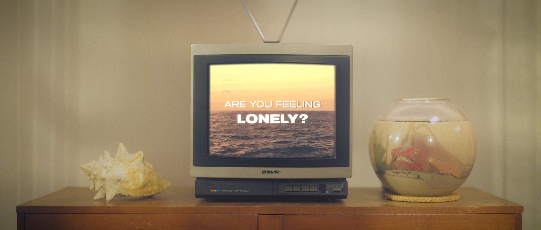 Image 2 de Seaweed Lookalikes