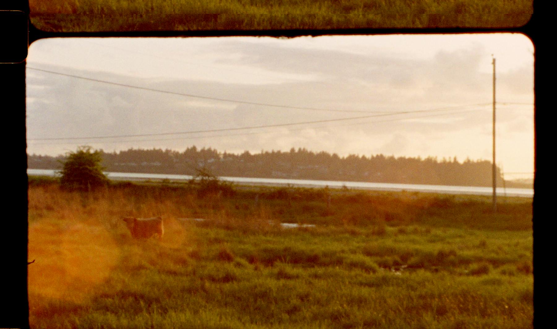 Image 3 de D Frou Bovary de Porrentruy