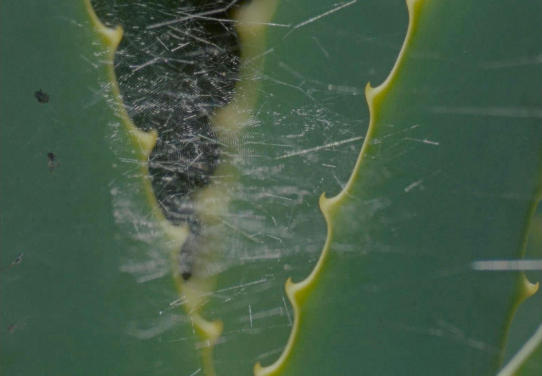 Image 1 de Lettres au docteur L