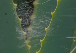 Image 1 de Lettres au docteur L