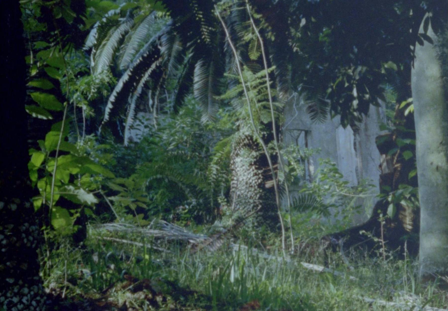 Image 3 de Lettres au docteur L