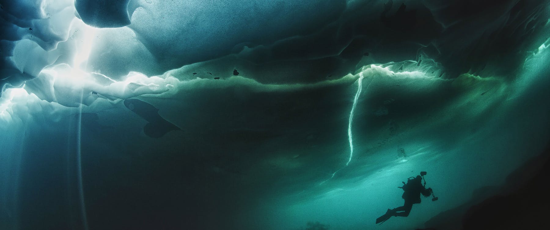 Image 1 de La leggerezza sommersa