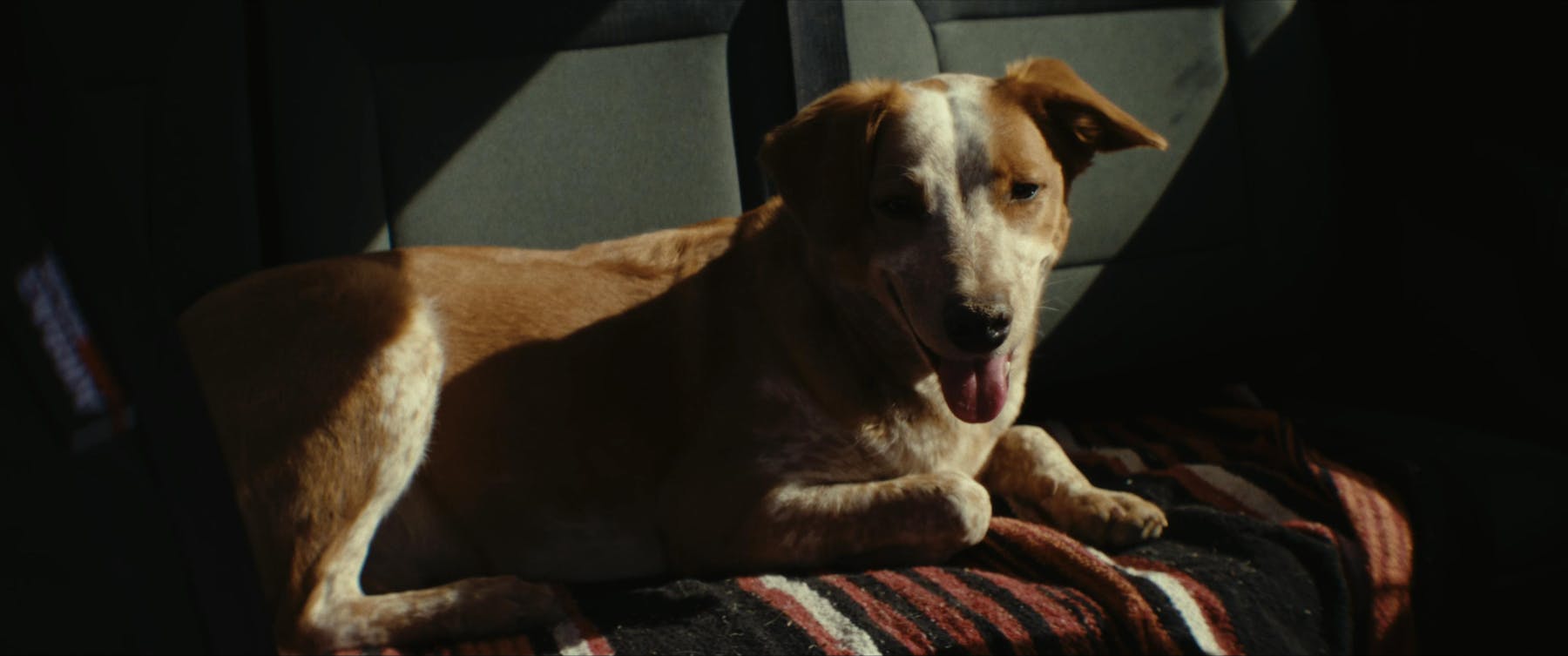 Bild 1 von Born Reckless