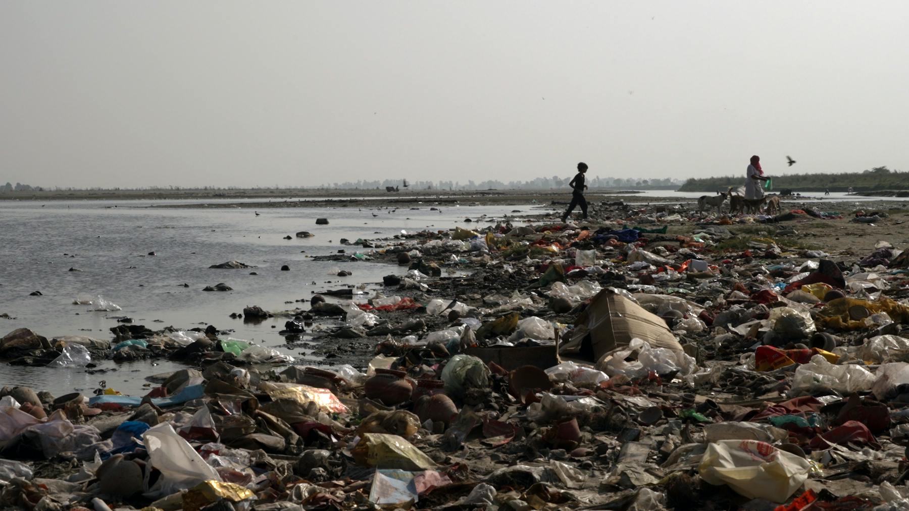 Image 1 de Mother Yamuna