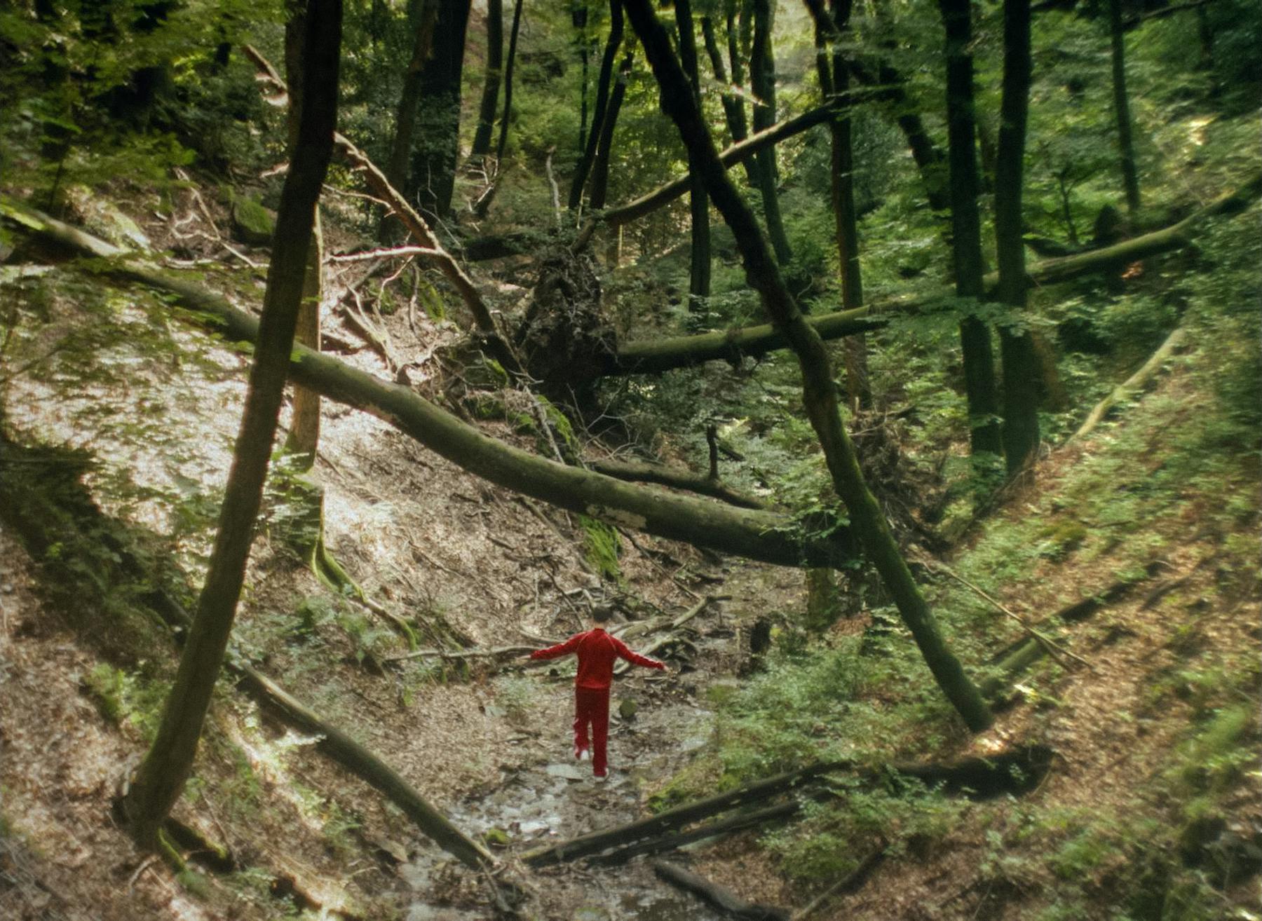 Image 1 de Nessuno vi farà del male