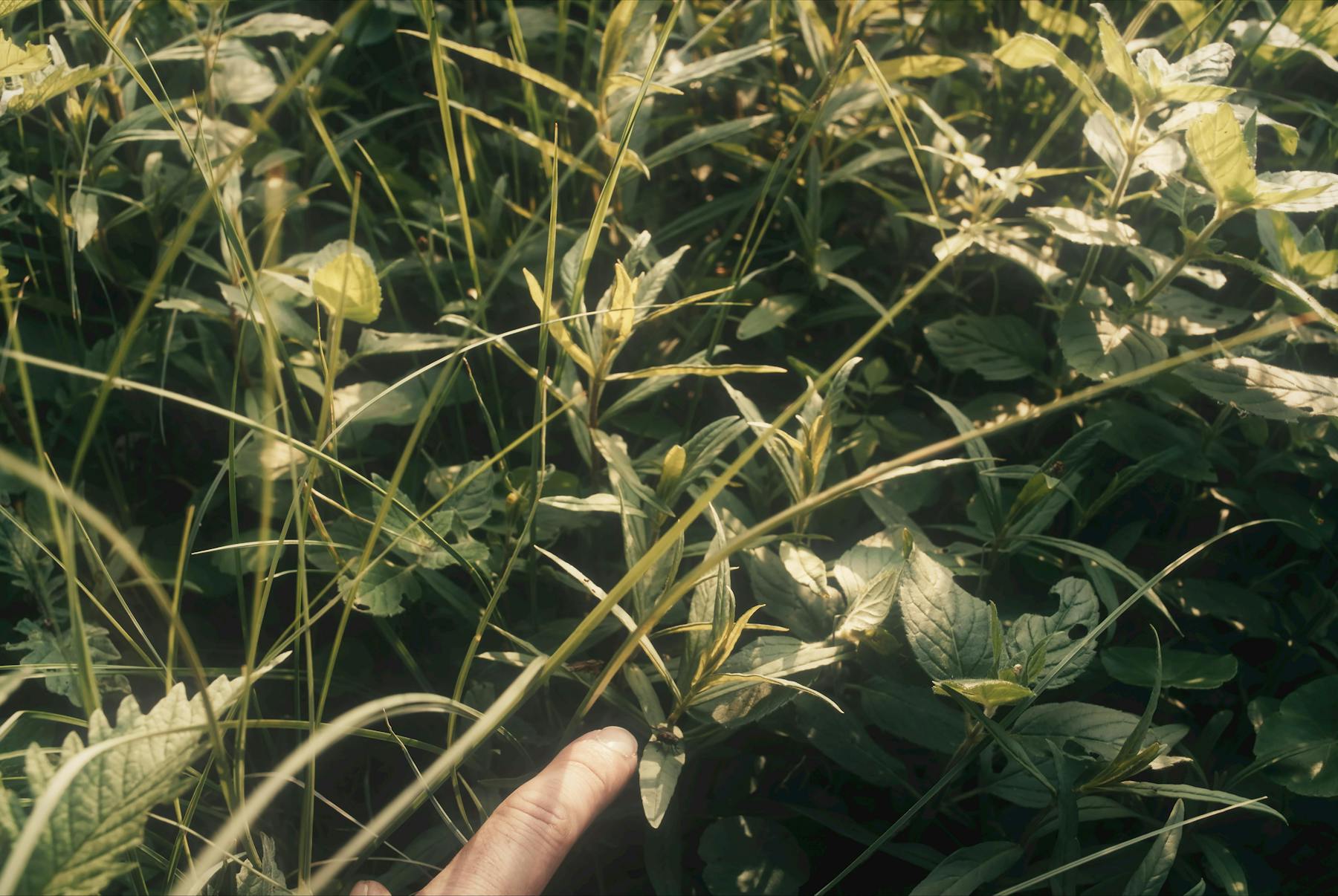 Bild 1 von Alien Minds