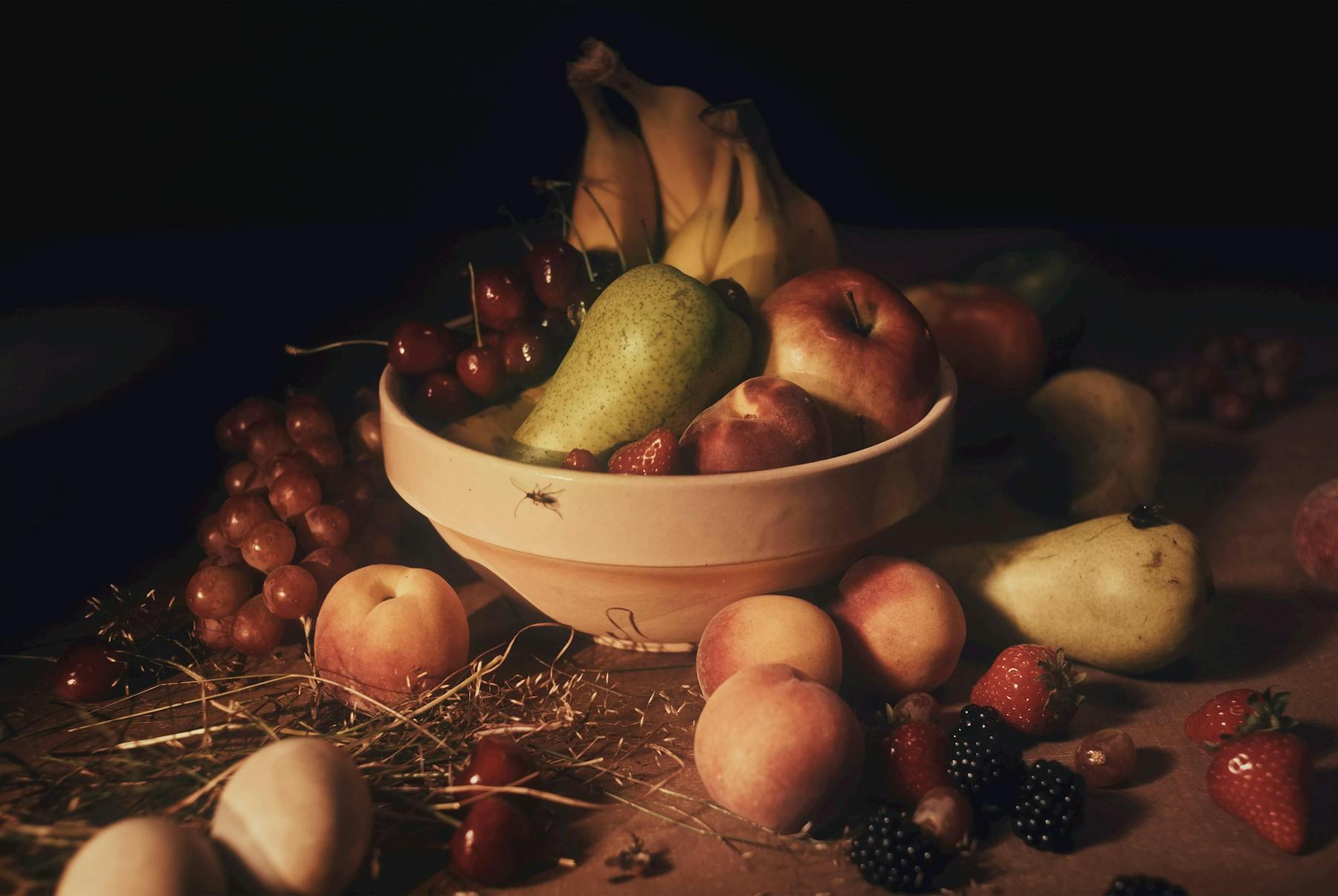 Bild 1 von Alien Minds