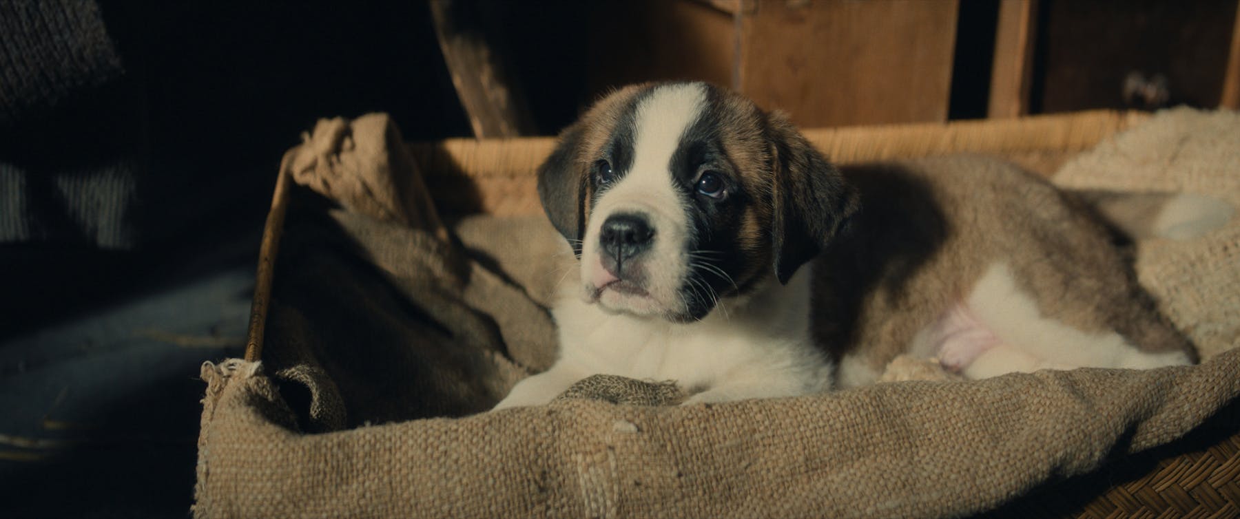 Image 1 de Mein Freund Barry