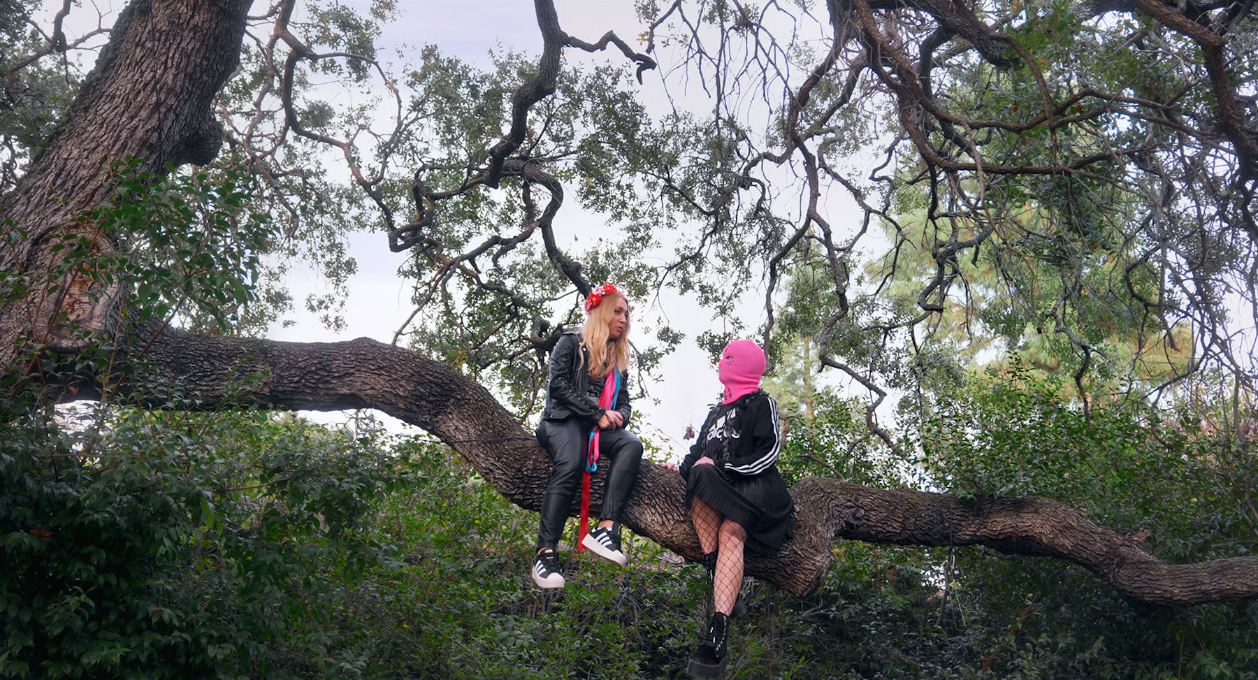 Bild 1 von Girls & Gods