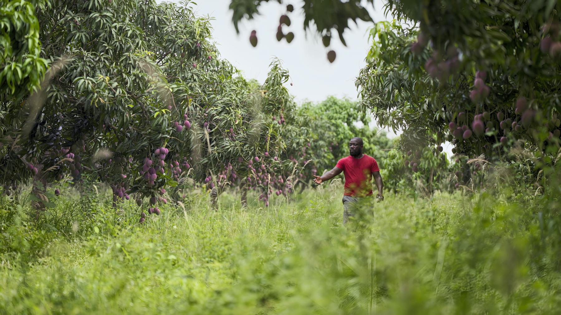 Bild 1 von The Narrative