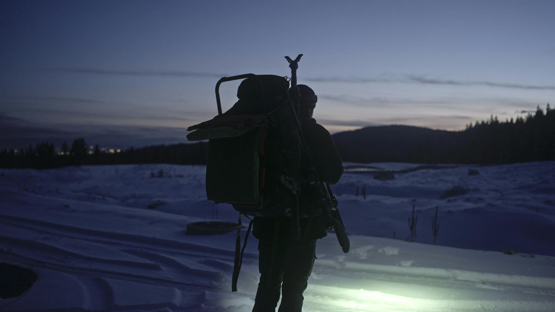 Image 1 de Le dernier loup