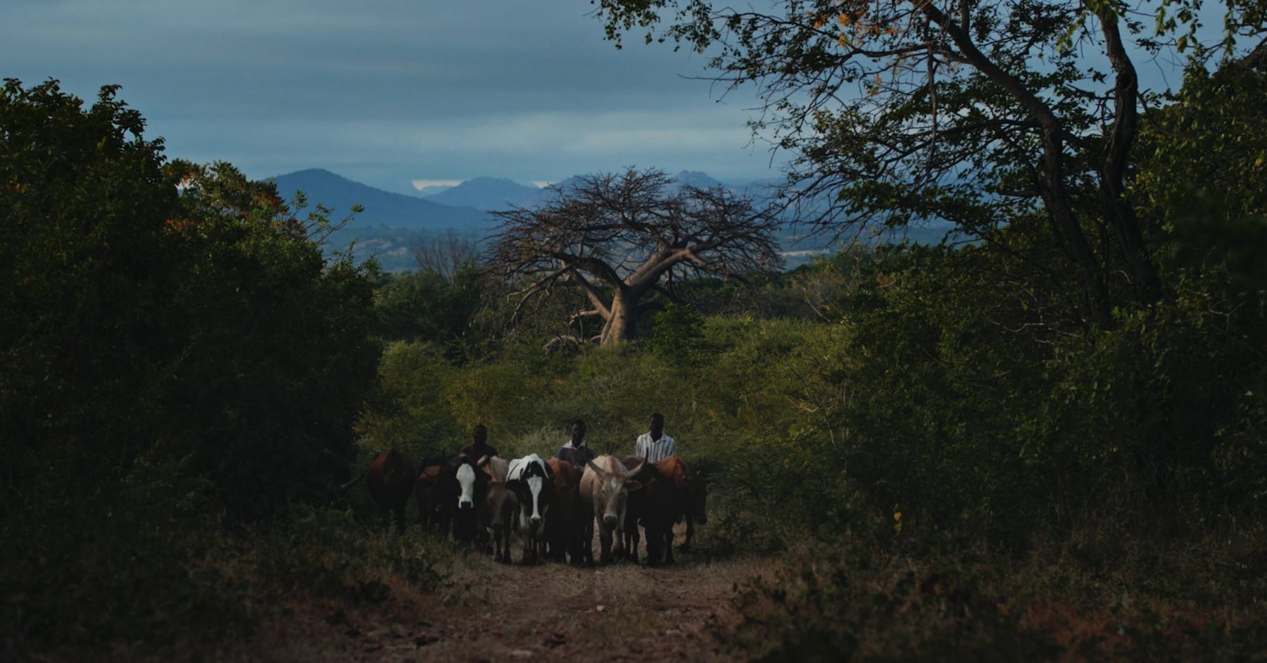 Image 1 de The Deminers