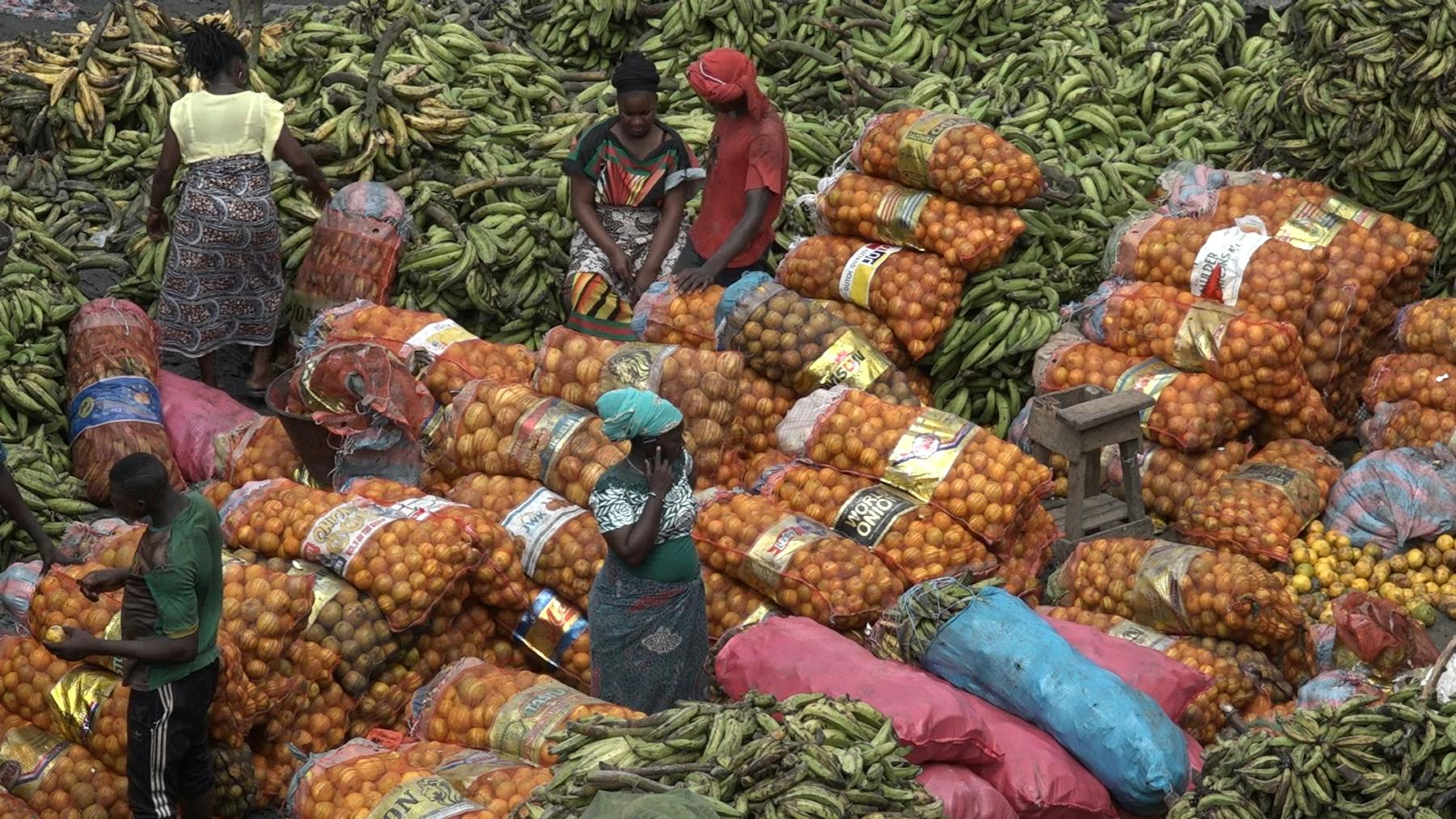 Bild 1 von L'Afrique des femmes