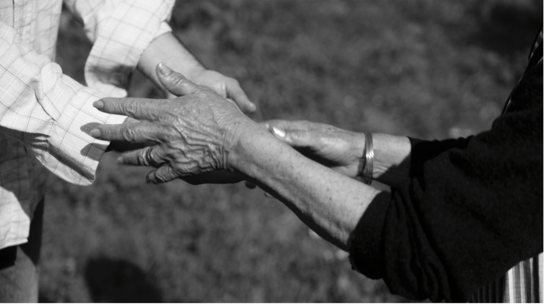 Bild 3 von O falecido