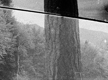 Bild 1 von Wounded Edges