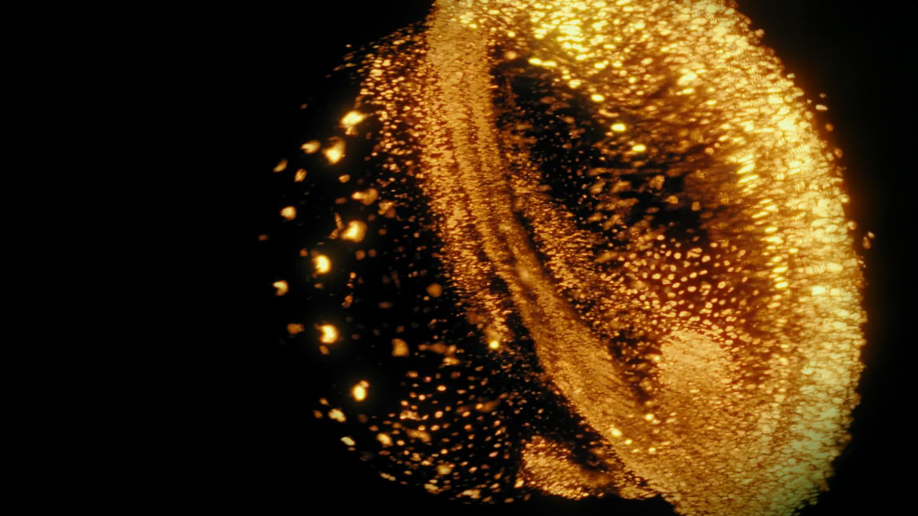 Image 2 de Those Who Hear The Sun