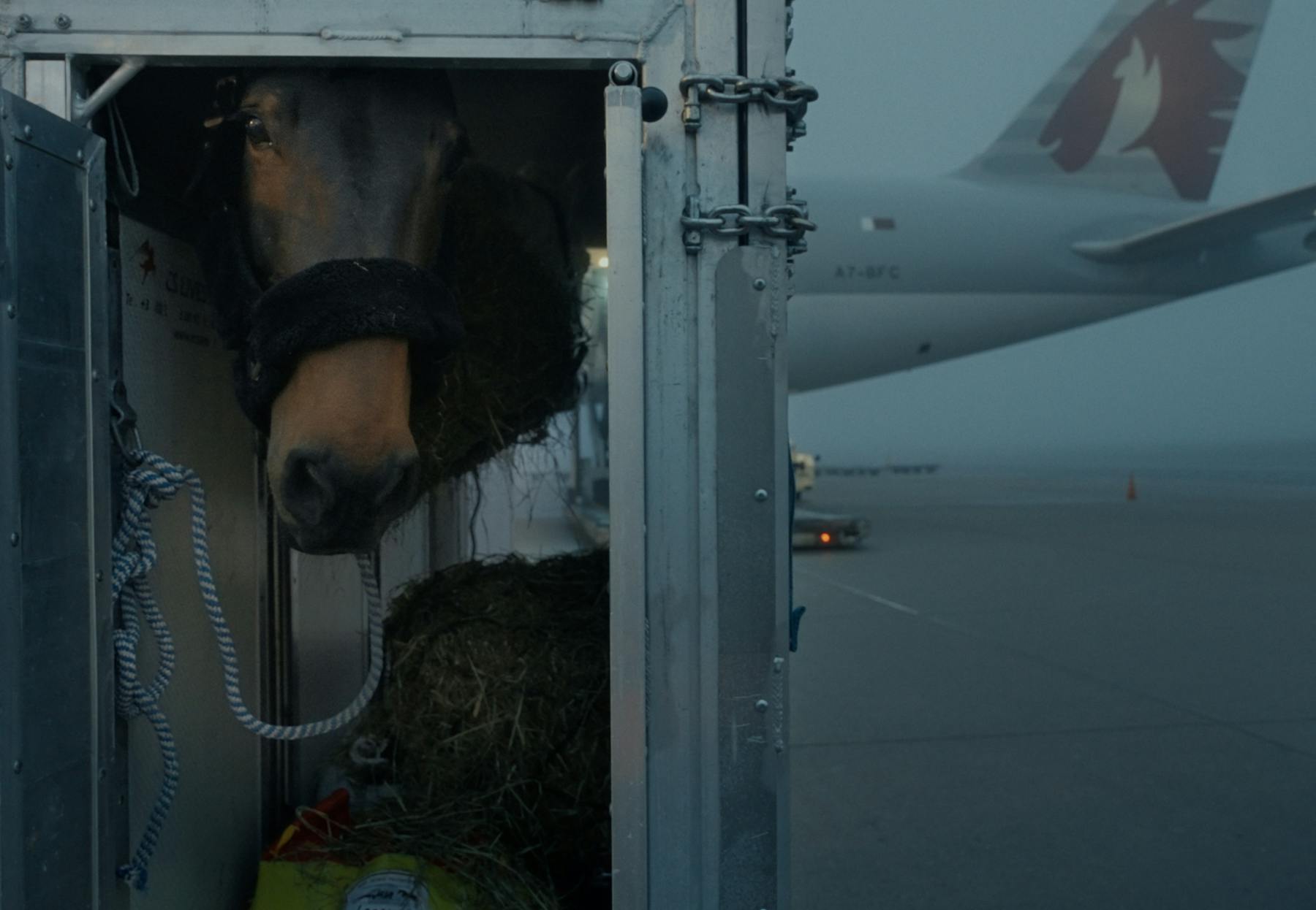 Bild 1 von Air Horse One