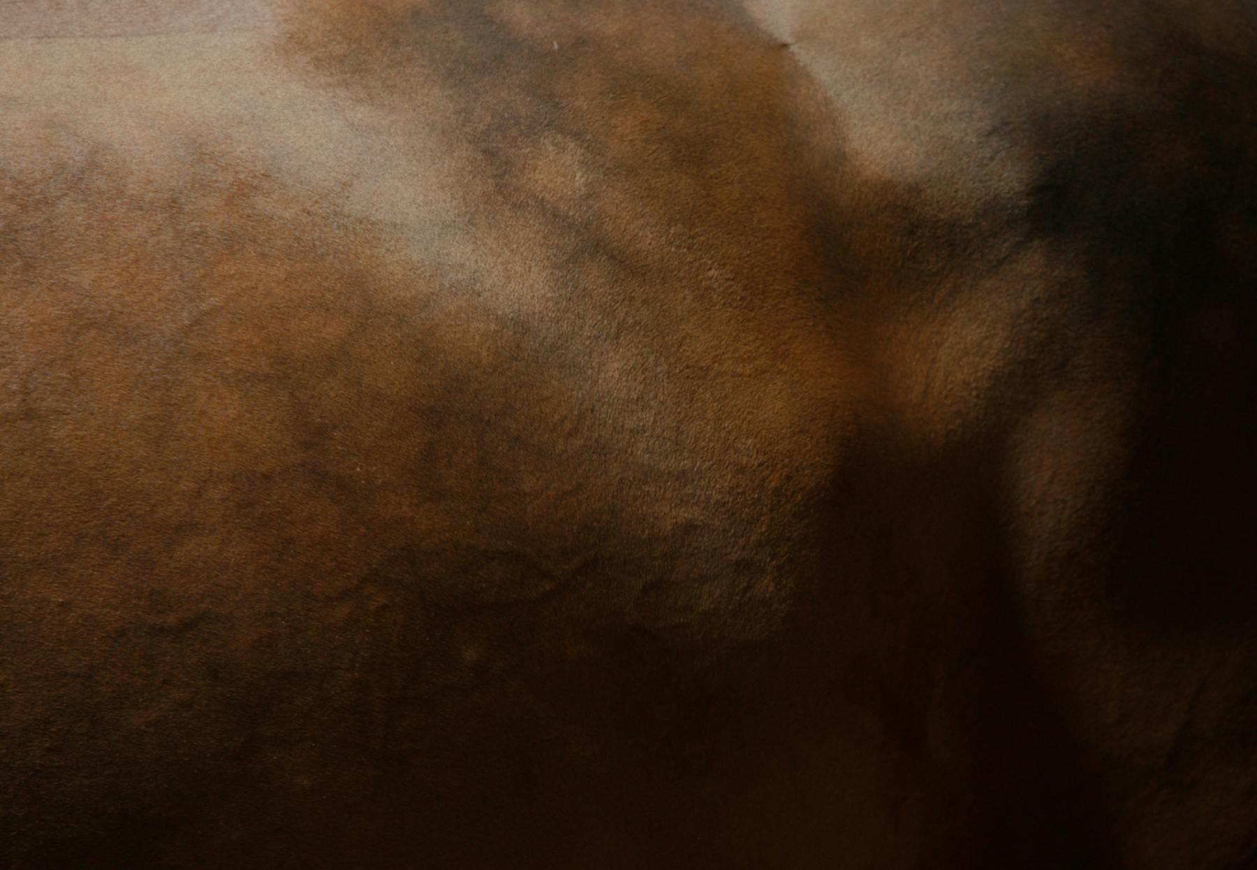 Bild 1 von Air Horse One