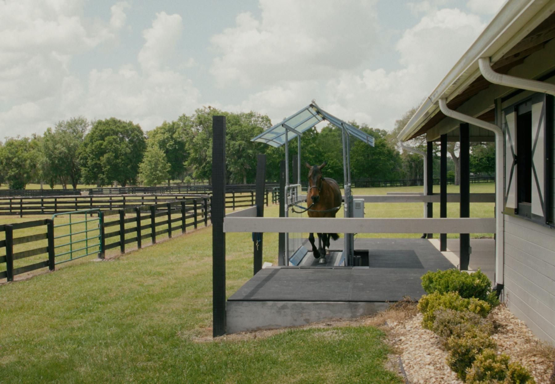 Bild 3 von Air Horse One