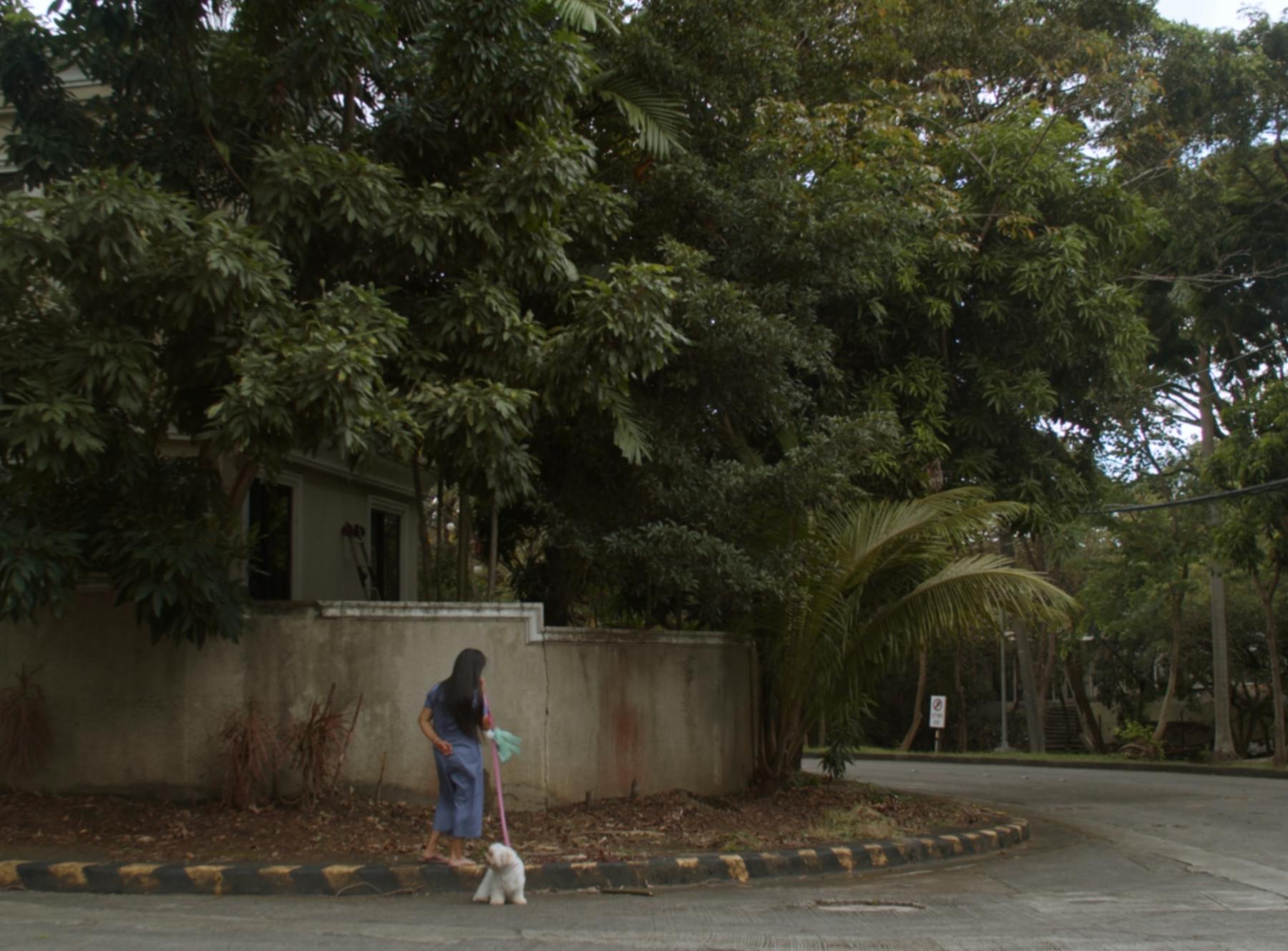 Image 3 de 102 Narra