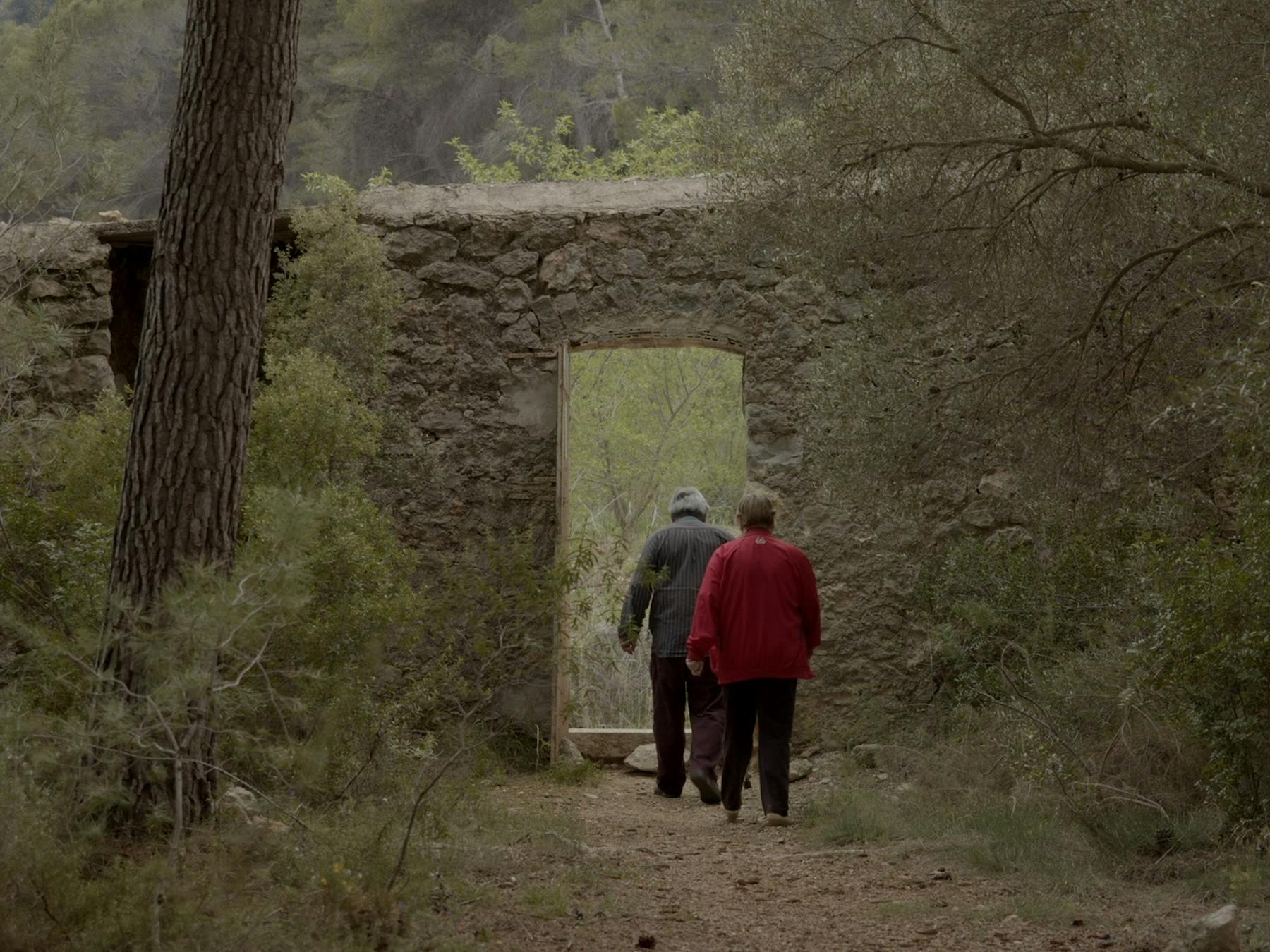 Image 1 de La muraille