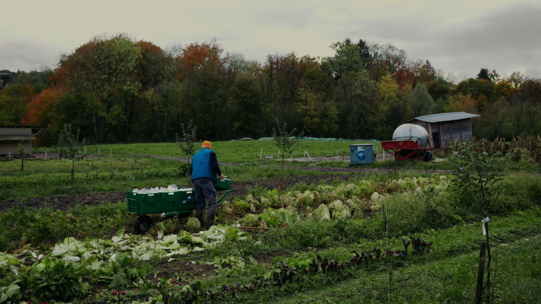 Image 1 de Devenir paysan