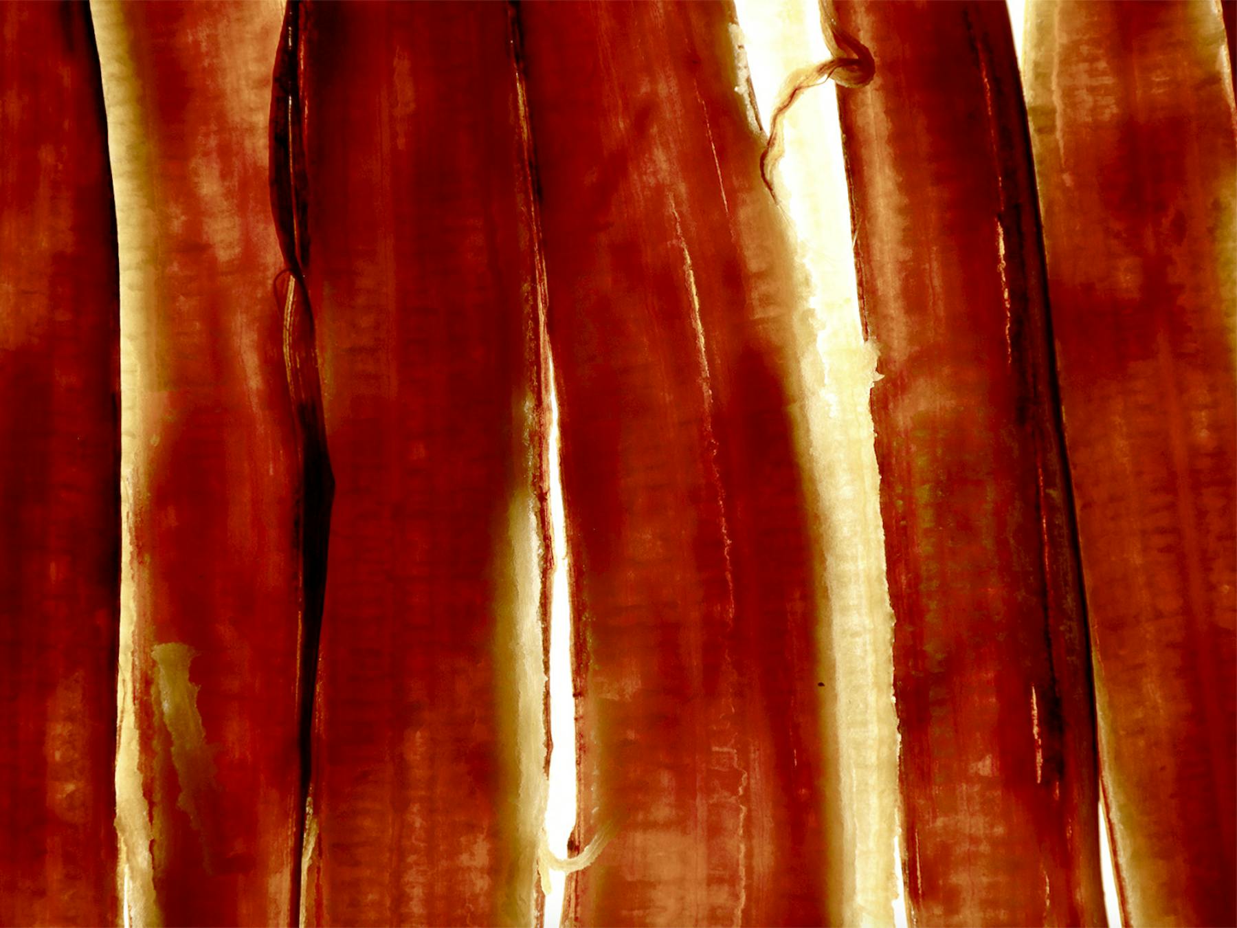 Bild 3 von Labouyi Bannann