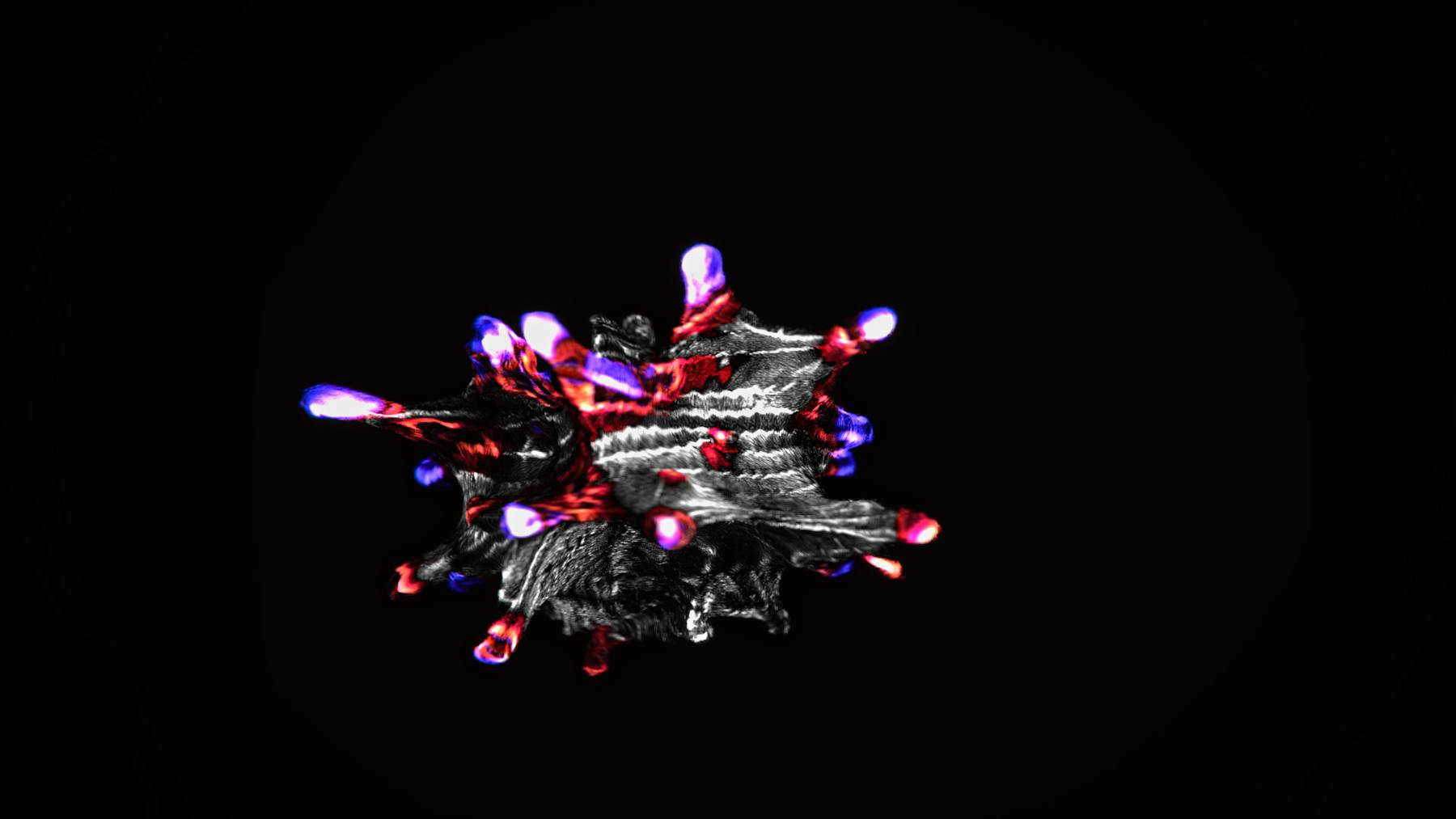 Bild 1 von Symbionts