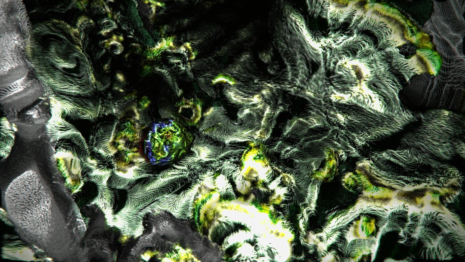 Bild 1 von Symbionts