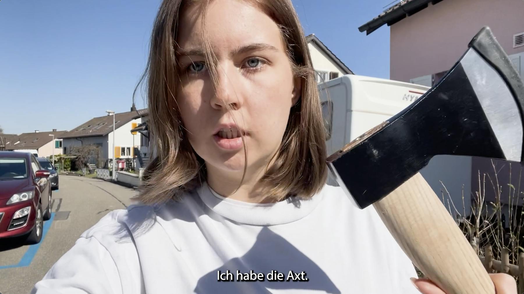 Bild 1 von Versuch, einen Baum in Zürich zu fällen