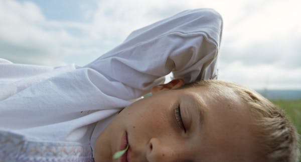 La beauté de l'âne