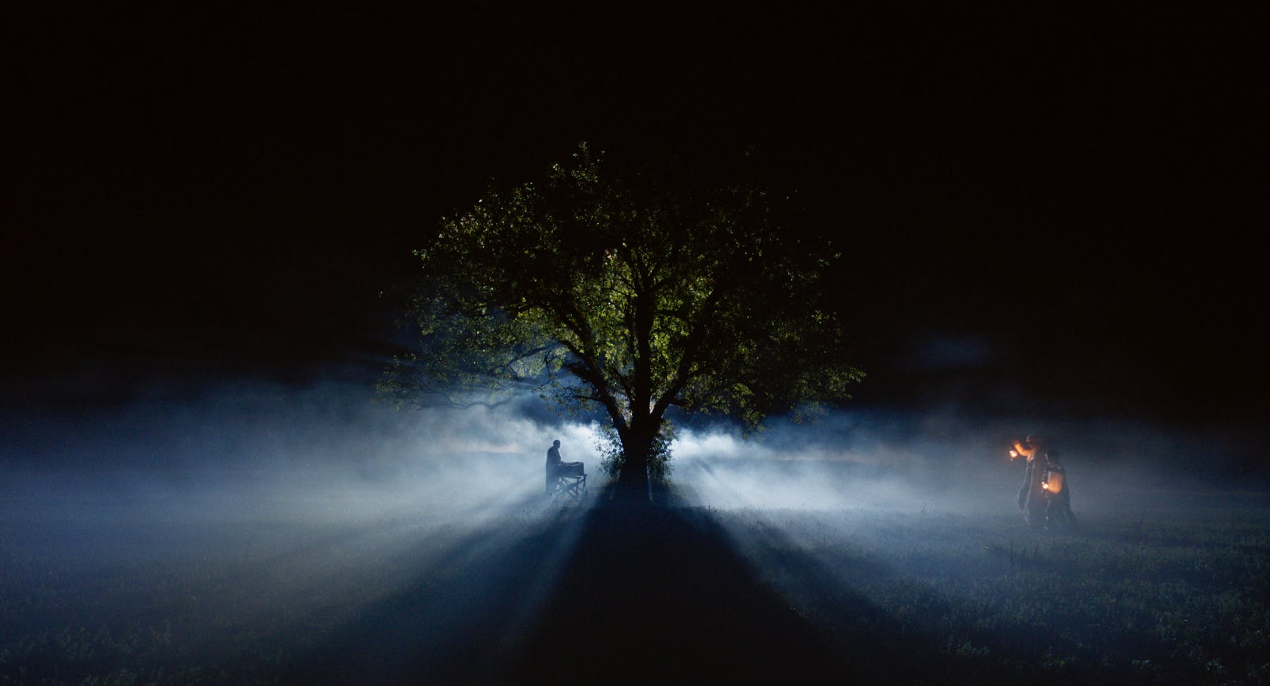 Bild 3 von La beauté de l'âne