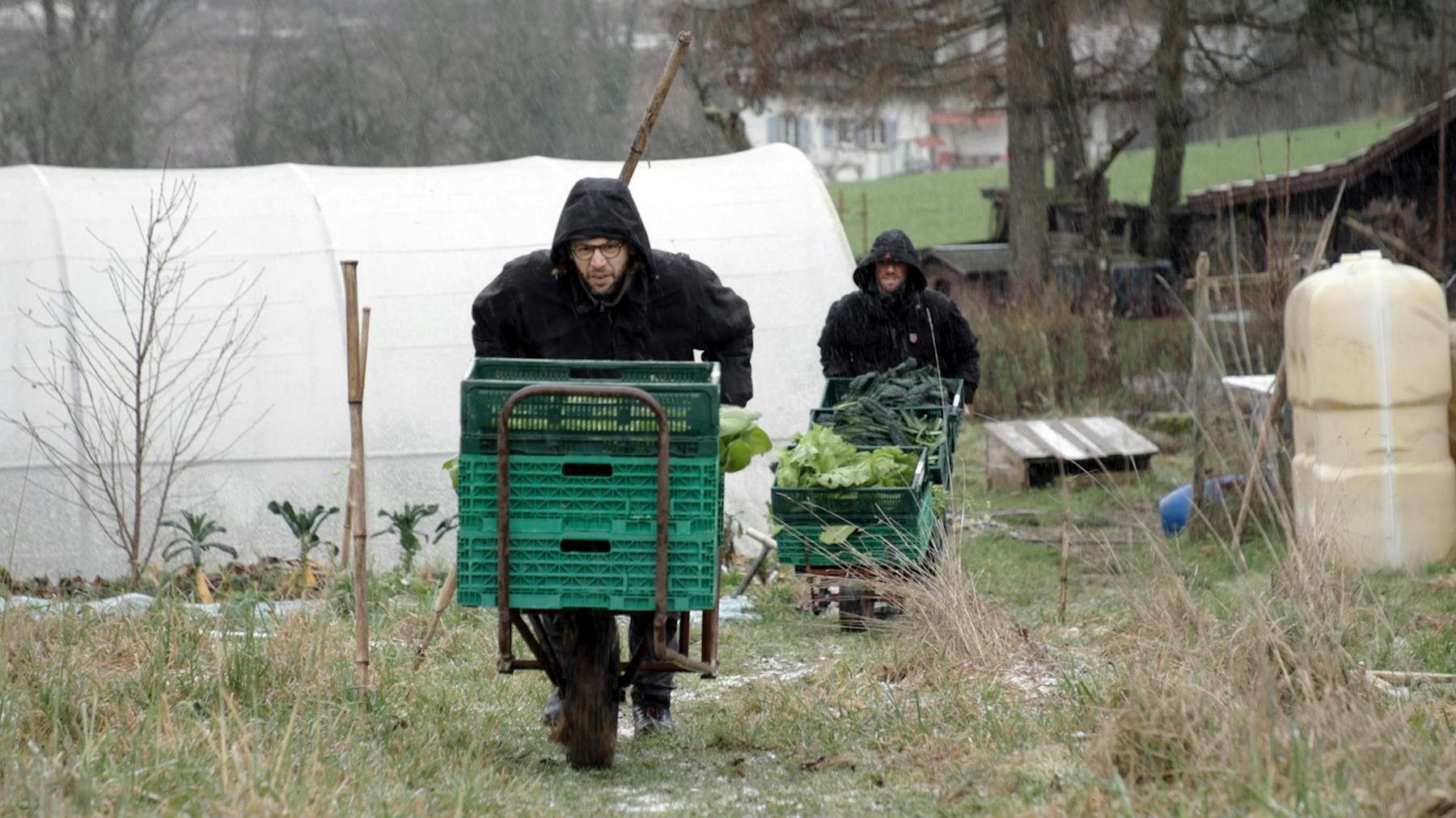 Bild 1 von Le goût des choses