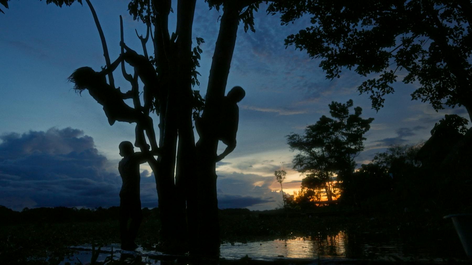 Image 1 de Pies al revés