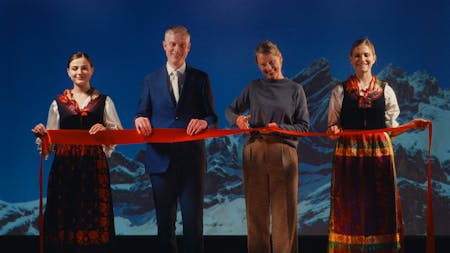 Image 1 de Murmuration