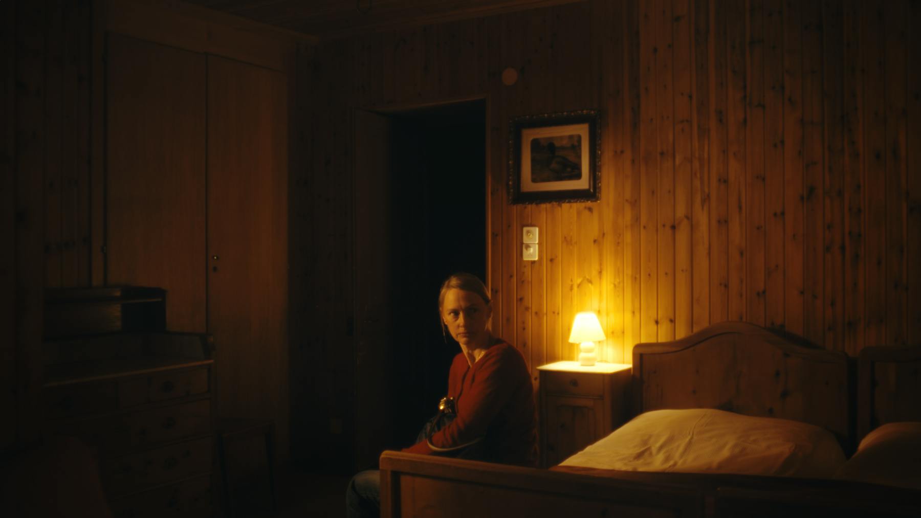 Image 1 de Murmuration