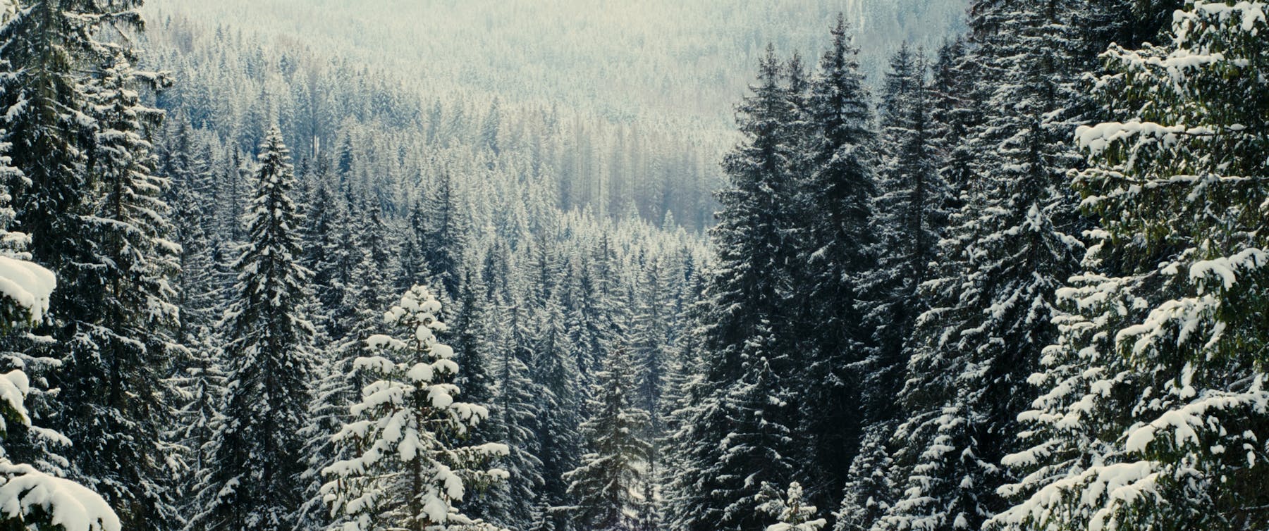 Bild 3 von Il canto del respiro