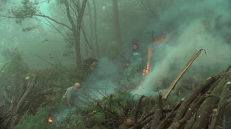 Bild 1 von Alboroque